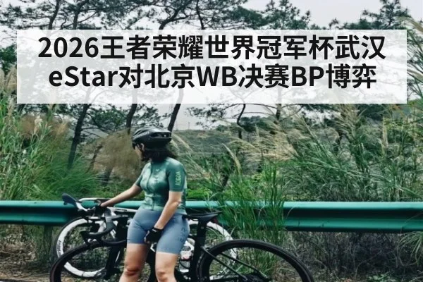 2026王者荣耀世界冠军杯武汉eStar对北京WB决赛BP博弈